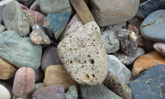 Gefunden in Köln-Niehl: ein Bims-Stein – einer der Schätze, die ihr am Rhein finden könnt. © Sven von Loga